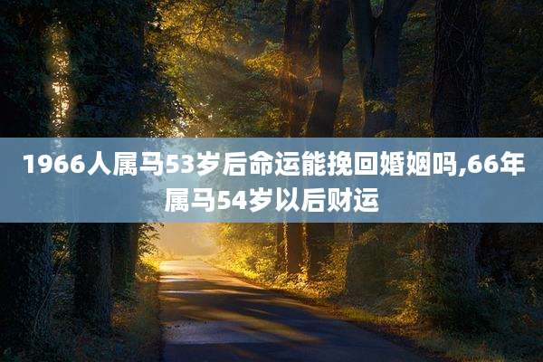 1966人属马53岁后命运能挽回婚姻吗,66年属马54岁以后财运