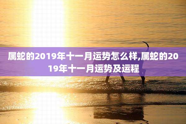 属蛇的2019年十一月运势怎么样,属蛇的2019年十一月运势及运程