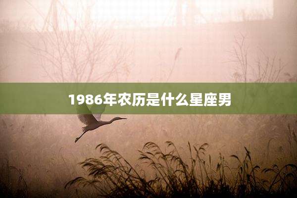 1986年农历是什么星座男