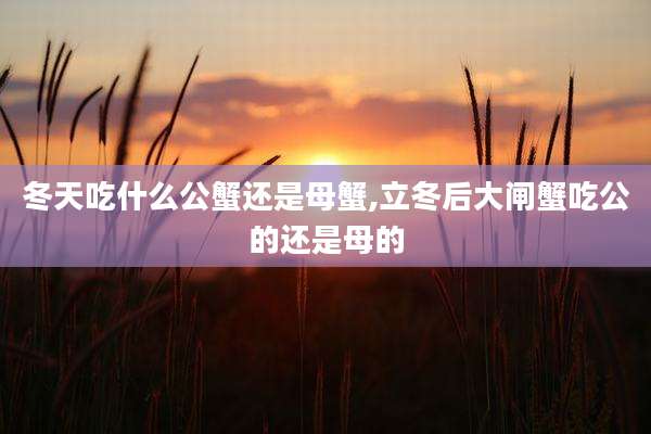 冬天吃什么公蟹还是母蟹,立冬后大闸蟹吃公的还是母的