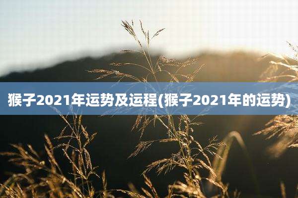猴子2021年运势及运程(猴子2021年的运势)