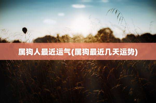 属狗人最近运气(属狗最近几天运势)