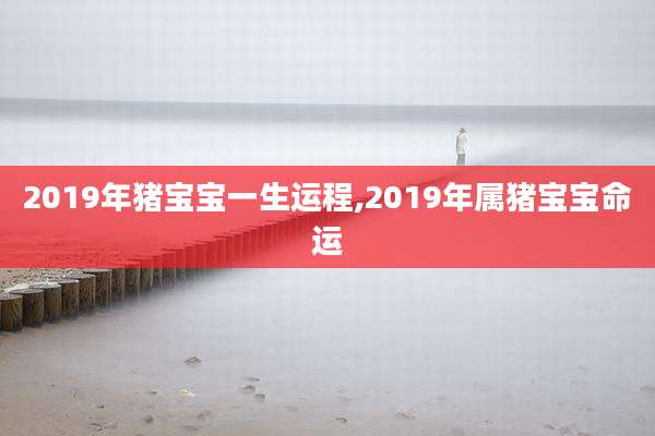 2019年猪宝宝一生运程,2019年属猪宝宝命运