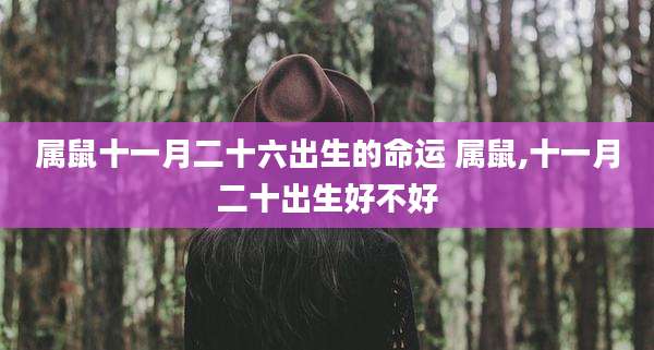 属鼠十一月二十六出生的命运 属鼠,十一月二十出生好不好