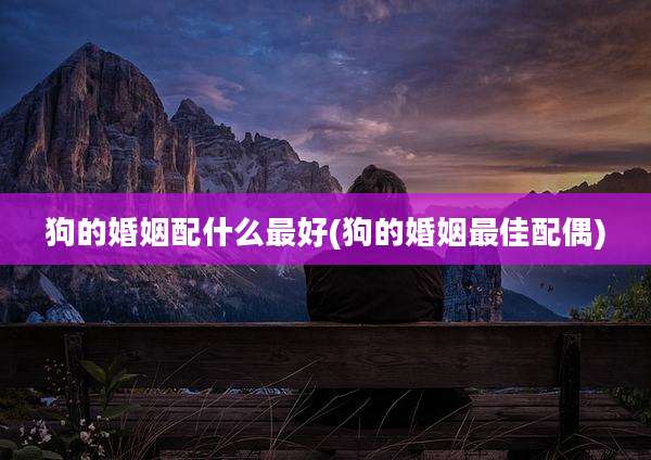 狗的婚姻配什么最好(狗的婚姻最佳配偶)