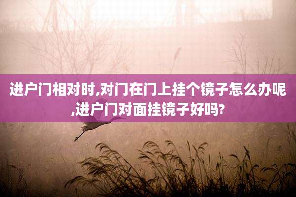 进户门相对时,对门在门上挂个镜子怎么办呢,进户门对面挂镜子好吗?