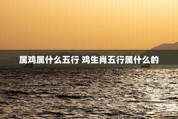 属鸡属什么五行 鸡生肖五行属什么的