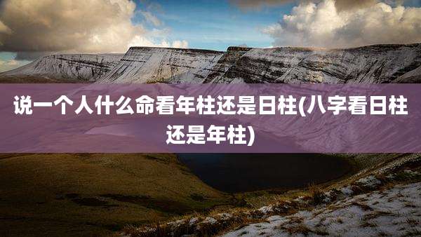 说一个人什么命看年柱还是日柱(八字看日柱还是年柱)
