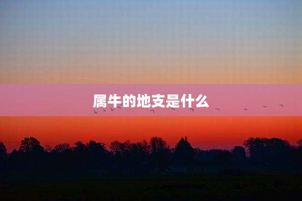 属牛的地支是什么