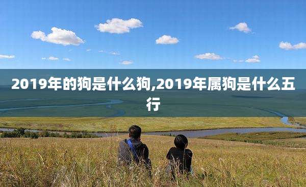 2019年的狗是什么狗,2019年属狗是什么五行