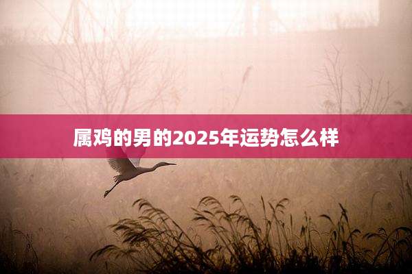 属鸡的男的2025年运势怎么样