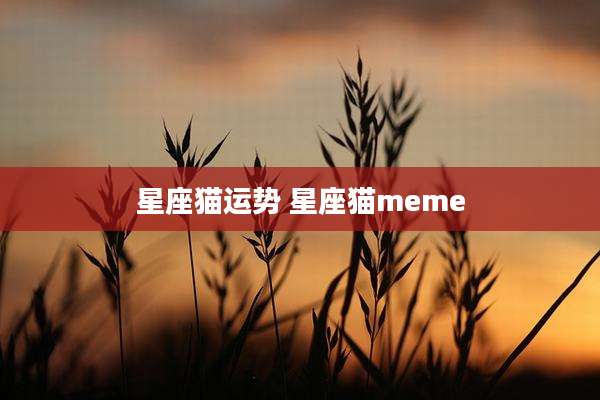 星座猫运势 星座猫meme