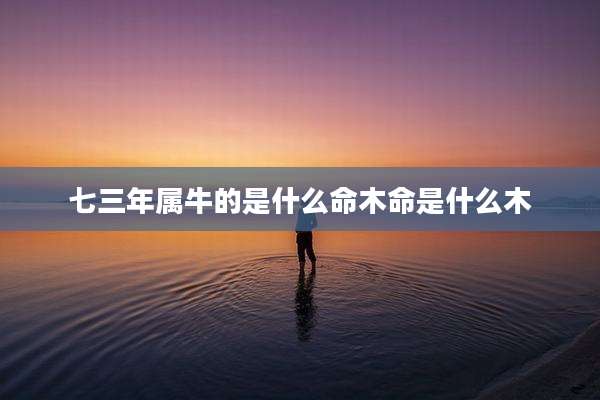 七三年属牛的是什么命木命是什么木