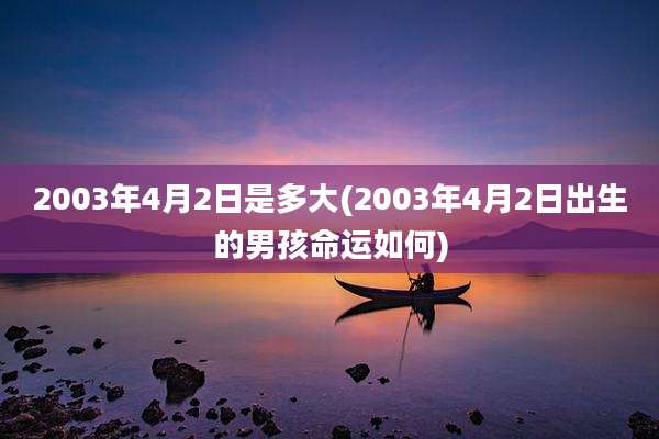 2003年4月2日是多大(2003年4月2日出生的男孩命运如何)