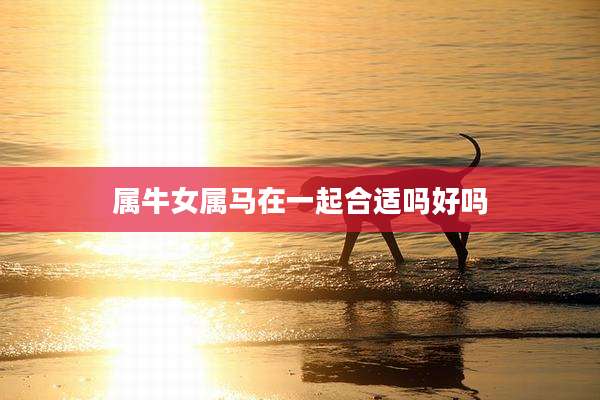 属牛女属马在一起合适吗好吗
