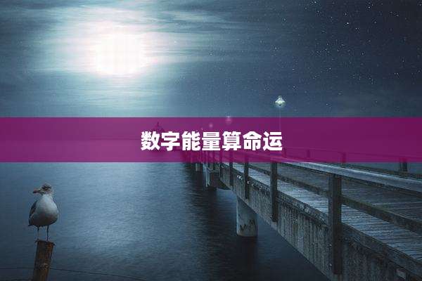 数字能量算命运