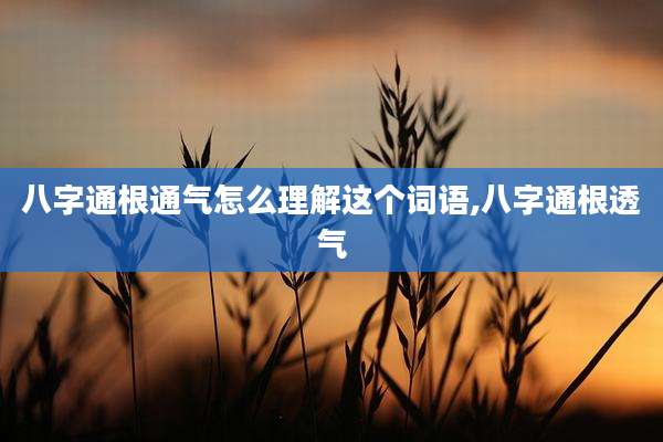 八字通根通气怎么理解这个词语,八字通根透气