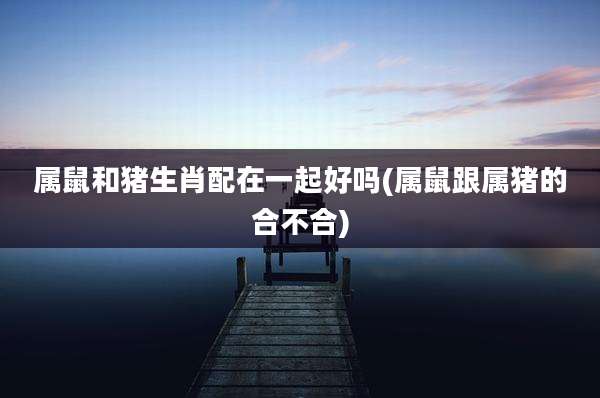属鼠和猪生肖配在一起好吗(属鼠跟属猪的合不合)