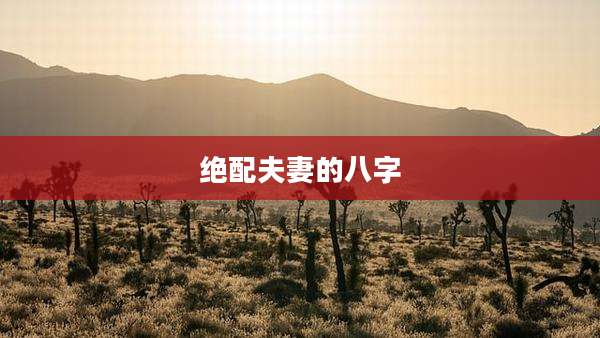 绝配夫妻的八字