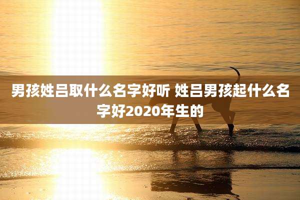 男孩姓吕取什么名字好听 姓吕男孩起什么名字好2020年生的
