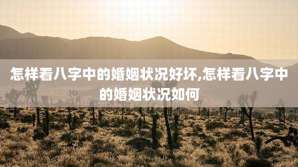 怎样看八字中的婚姻状况好坏,怎样看八字中的婚姻状况如何
