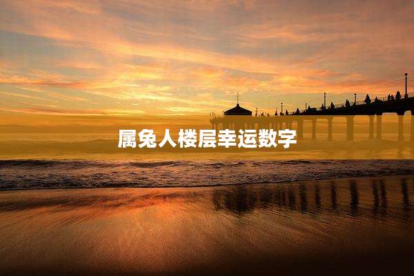 属兔人楼层幸运数字