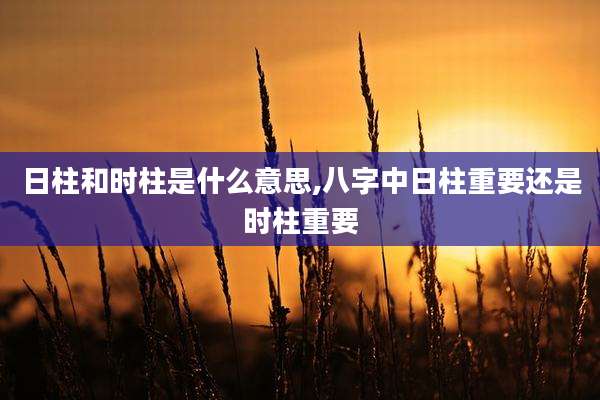 日柱和时柱是什么意思,八字中日柱重要还是时柱重要