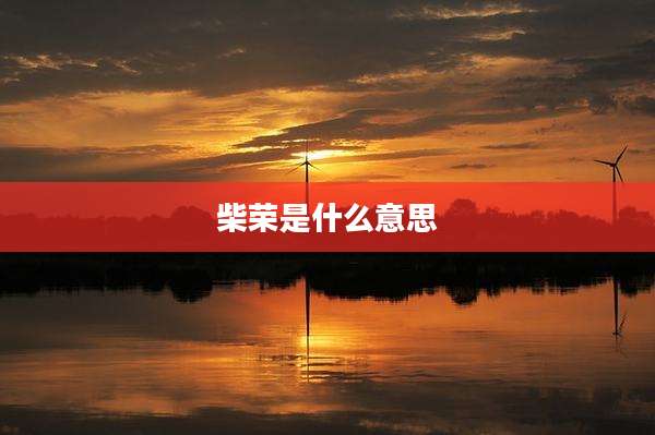 柴荣是什么意思