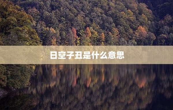 日空子丑是什么意思