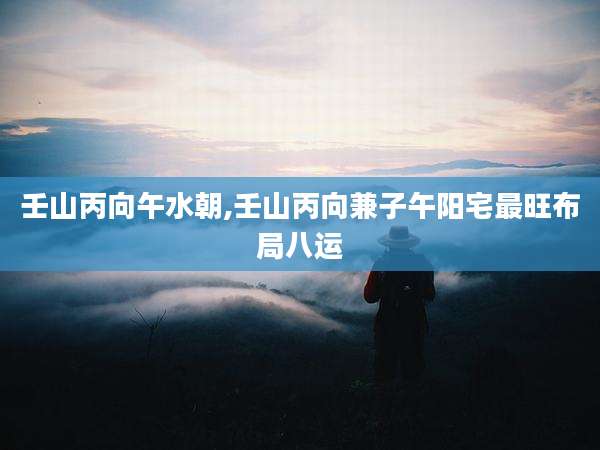 壬山丙向午水朝,壬山丙向兼子午阳宅最旺布局八运