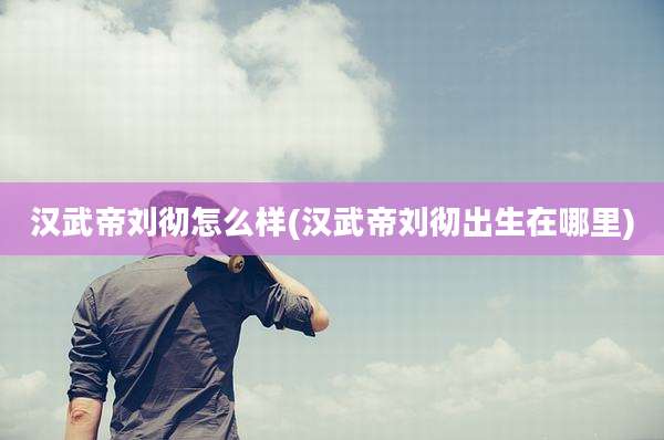 汉武帝刘彻怎么样(汉武帝刘彻出生在哪里)