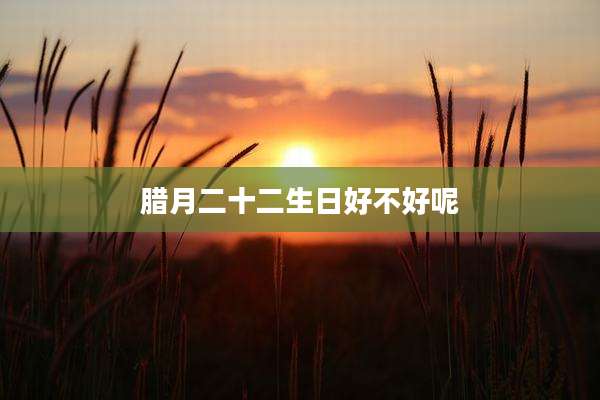 腊月二十二生日好不好呢