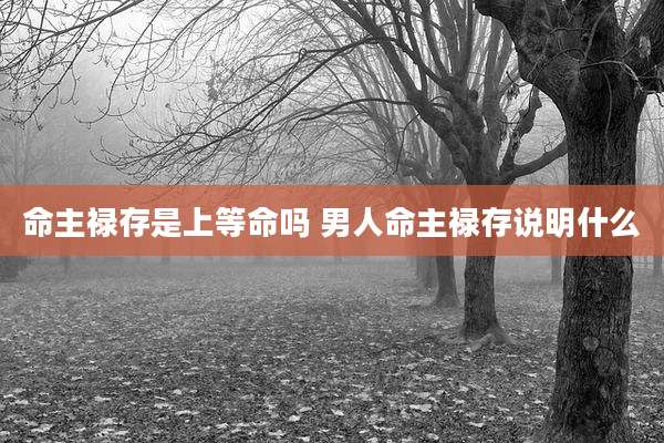 命主禄存是上等命吗 男人命主禄存说明什么