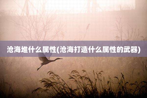 沧海堆什么属性(沧海打造什么属性的武器)