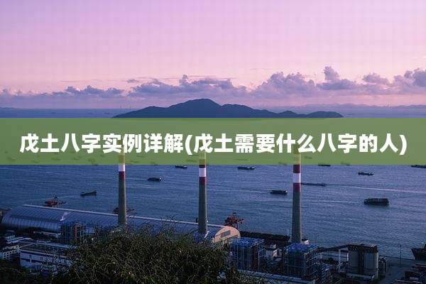戊土八字实例详解(戊土需要什么八字的人)