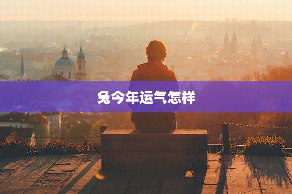 兔今年运气怎样
