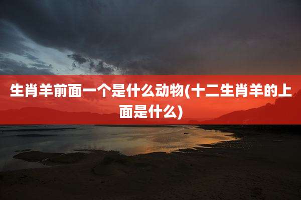生肖羊前面一个是什么动物(十二生肖羊的上面是什么)