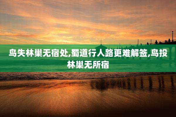 鸟失林巢无宿处,蜀道行人路更难解签,鸟投林巢无所宿