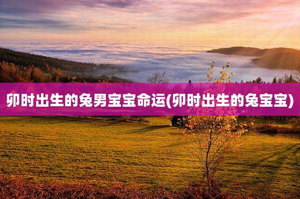 卯时出生的兔男宝宝命运(卯时出生的兔宝宝)