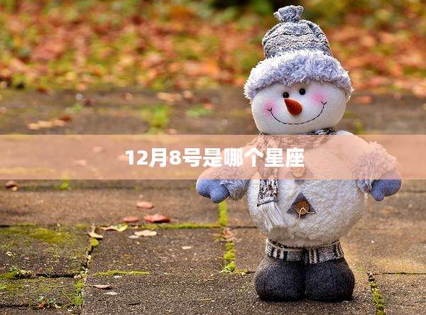 12月8号是哪个星座