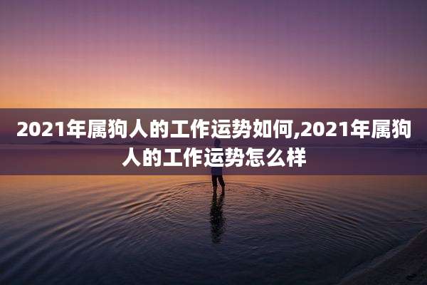 2021年属狗人的工作运势如何,2021年属狗人的工作运势怎么样