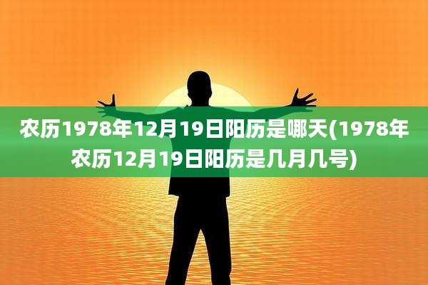 农历1978年12月19日阳历是哪天(1978年农历12月19日阳历是几月几号)