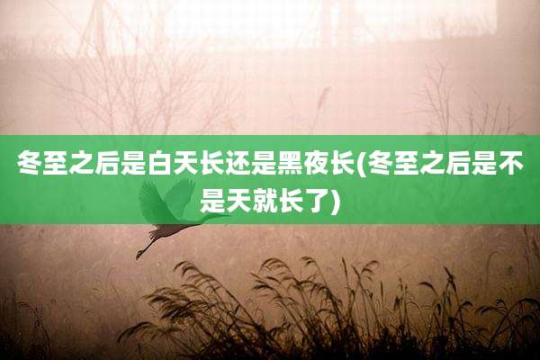 冬至之后是白天长还是黑夜长(冬至之后是不是天就长了)