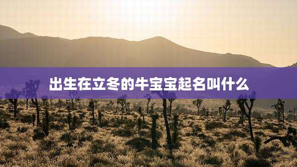 出生在立冬的牛宝宝起名叫什么