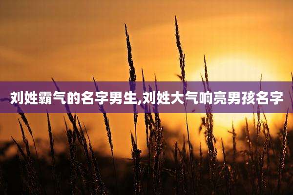刘姓霸气的名字男生,刘姓大气响亮男孩名字