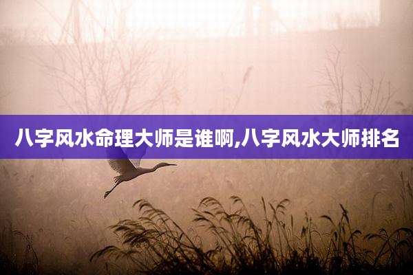 八字风水命理大师是谁啊,八字风水大师排名
