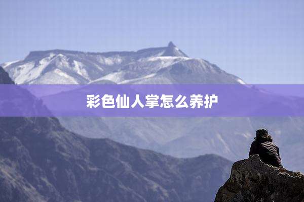 彩色仙人掌怎么养护