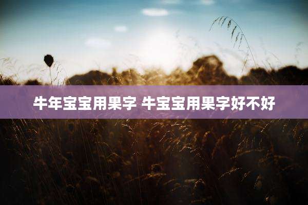 牛年宝宝用果字 牛宝宝用果字好不好