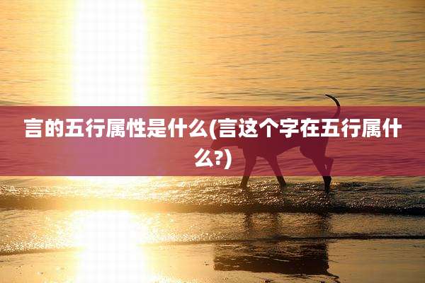 言的五行属性是什么(言这个字在五行属什么?)