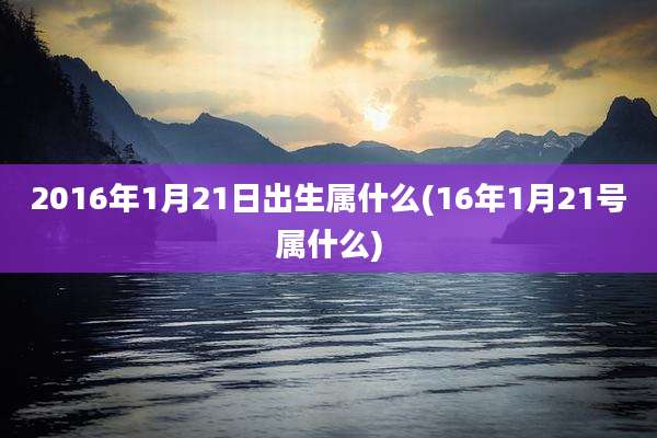 2016年1月21日出生属什么(16年1月21号属什么)